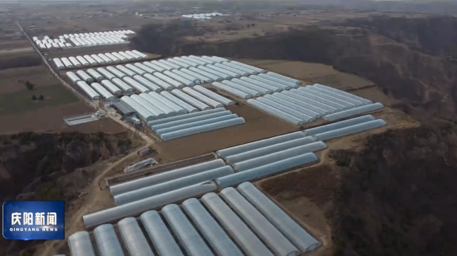 《慶陽(yáng)新聞》2026年3月5日