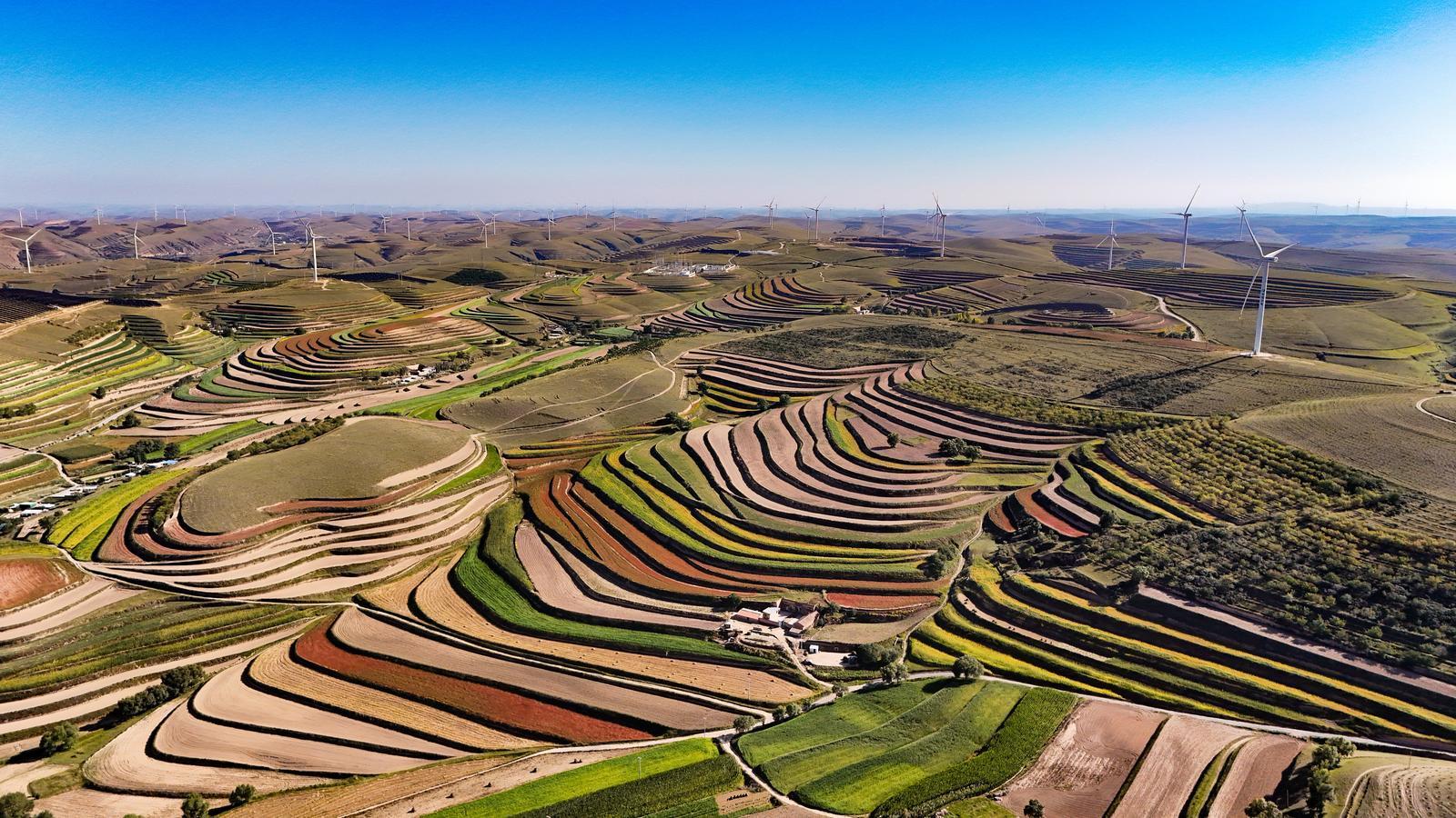 興農(nóng)富民固根本——環(huán)縣農(nóng)業(yè)產(chǎn)業(yè)高質(zhì)量發(fā)展助推鄉(xiāng)村全面振興紀(jì)實(shí)