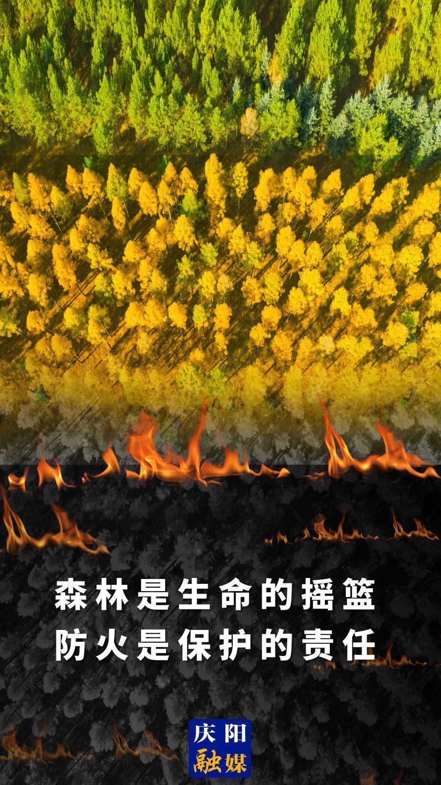 【微海報】森林是生命的搖籃 防火是保護的責(zé)任