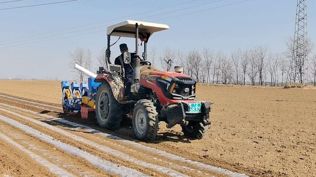 【春啟隴東 耕繪新篇】寧縣：引進油菜新品種 按下春耕生產快進鍵
