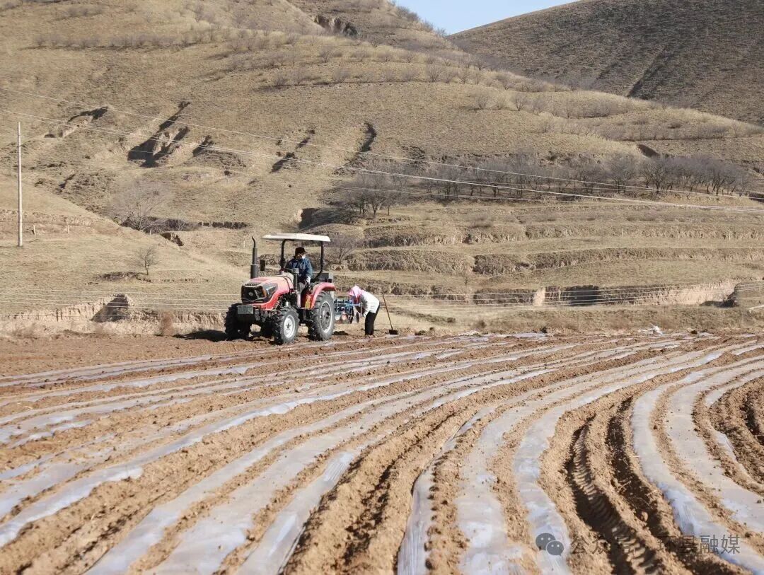 環(huán)縣車道鎮(zhèn)：多元施策繪春耕 多措并舉促增收