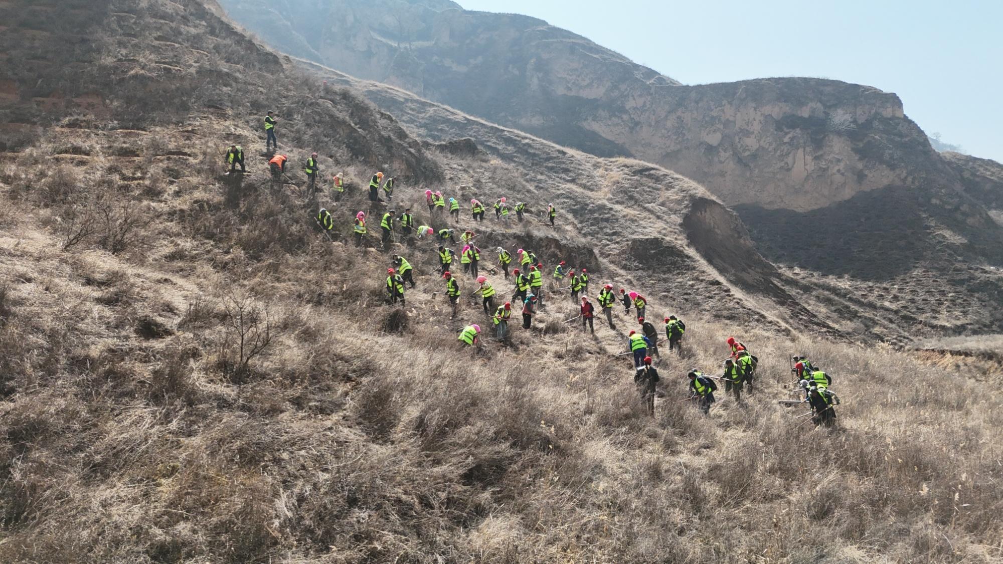 黃河“幾字彎”攻堅(jiān)戰(zhàn)：甘肅慶陽(yáng)的“綠進(jìn)沙退”新答卷