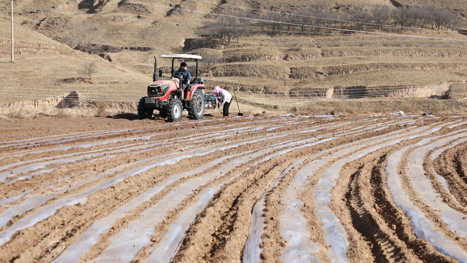 【春?jiǎn)㈦]東 耕繪新篇】環(huán)縣車(chē)道鎮(zhèn)：多元施策繪春耕 多措并舉促增收
