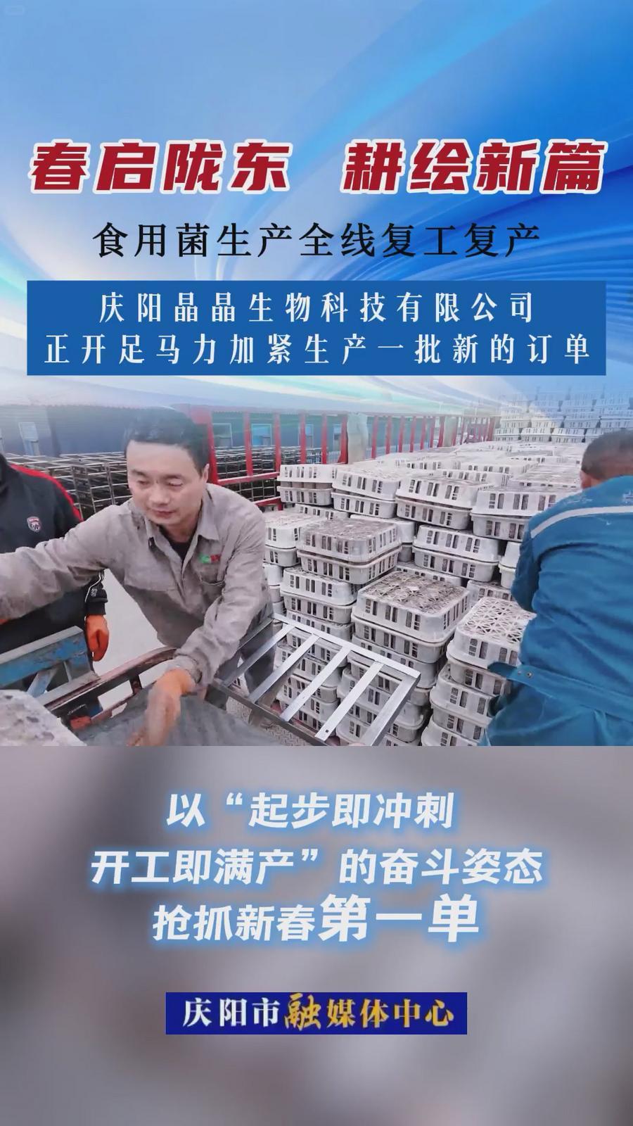 【春啟隴東 耕繪新篇】西峰區(qū)食用菌生產(chǎn)全線復(fù)工 奏響全區(qū)產(chǎn)業(yè)振興序曲