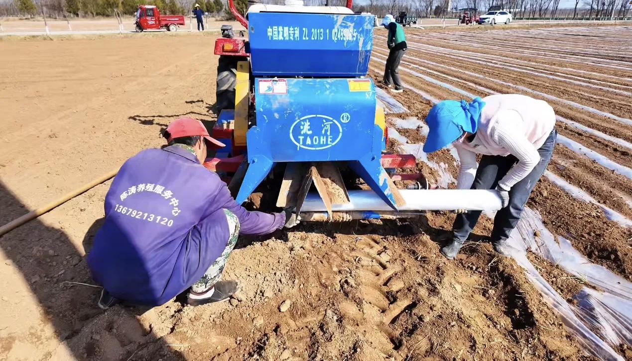 中村鎮(zhèn)：搶抓墑情促春耕 頂凌覆膜保豐收