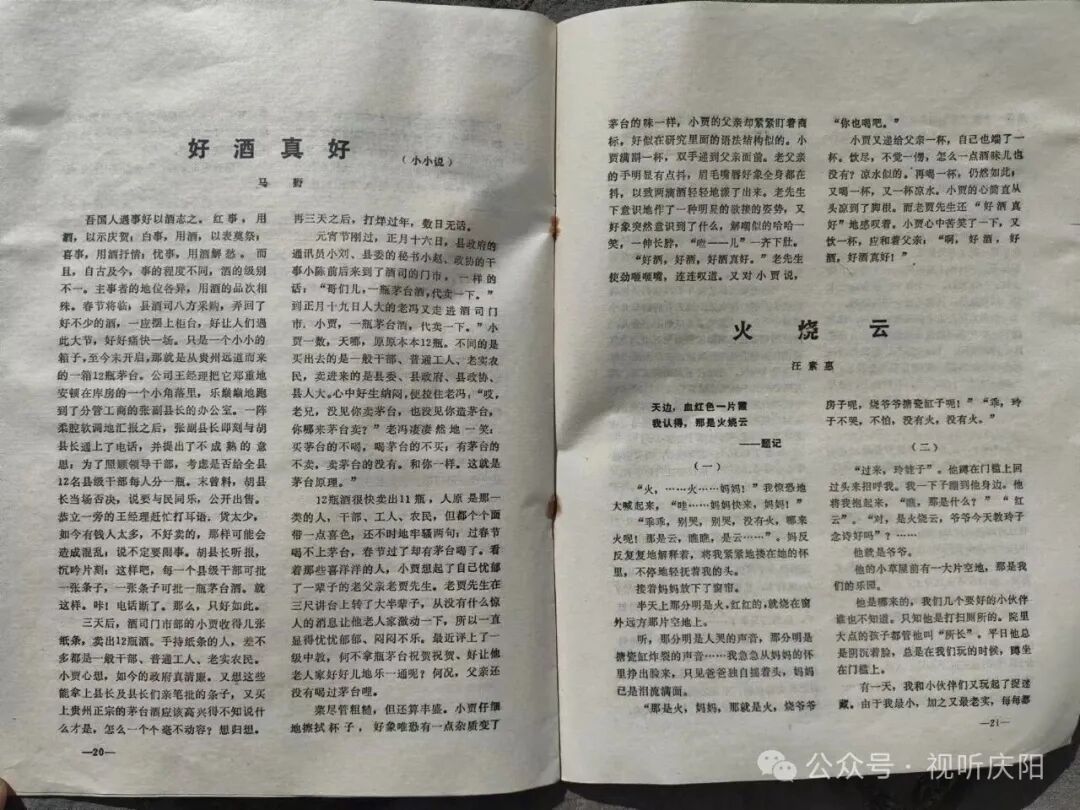 一點(diǎn)慶陽(yáng) 名家有約 | 書籍之外的閱讀（馬野）