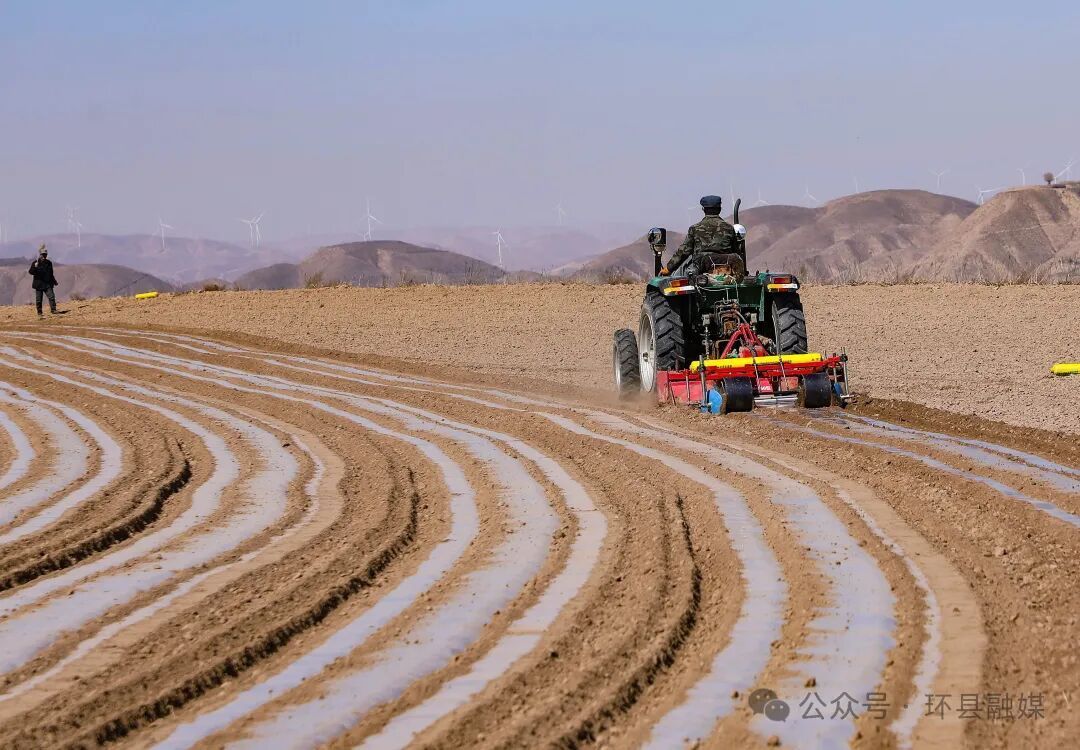 旱塬春早——環(huán)縣頂凌覆膜工作見(jiàn)聞