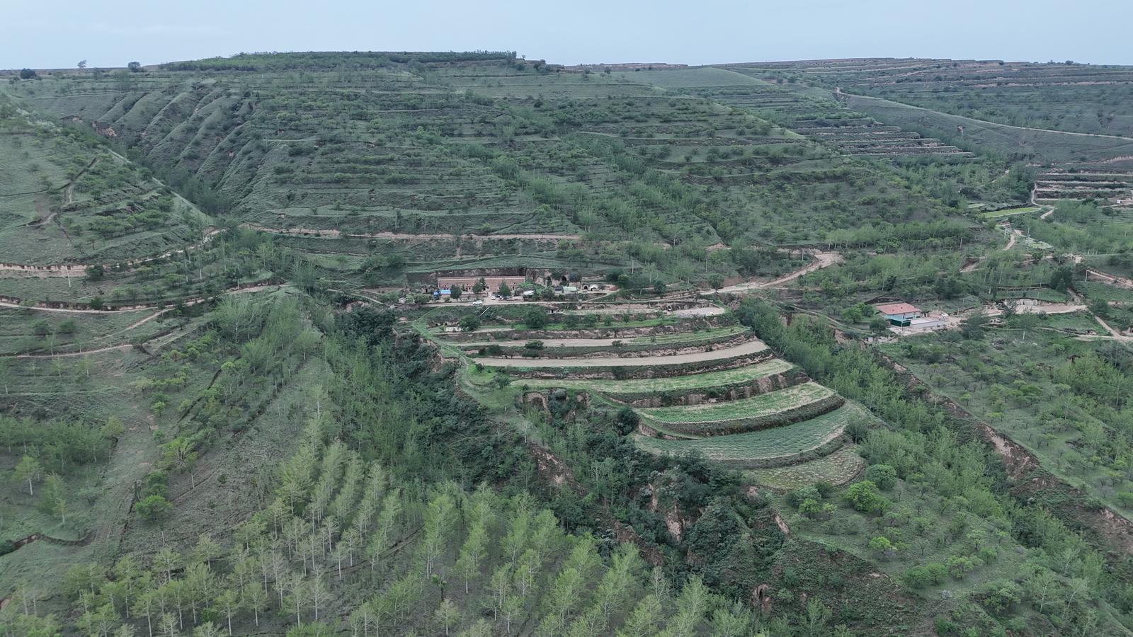 環(huán)縣：以林長(zhǎng)制推動(dòng)生態(tài)建設(shè)提質(zhì)增效