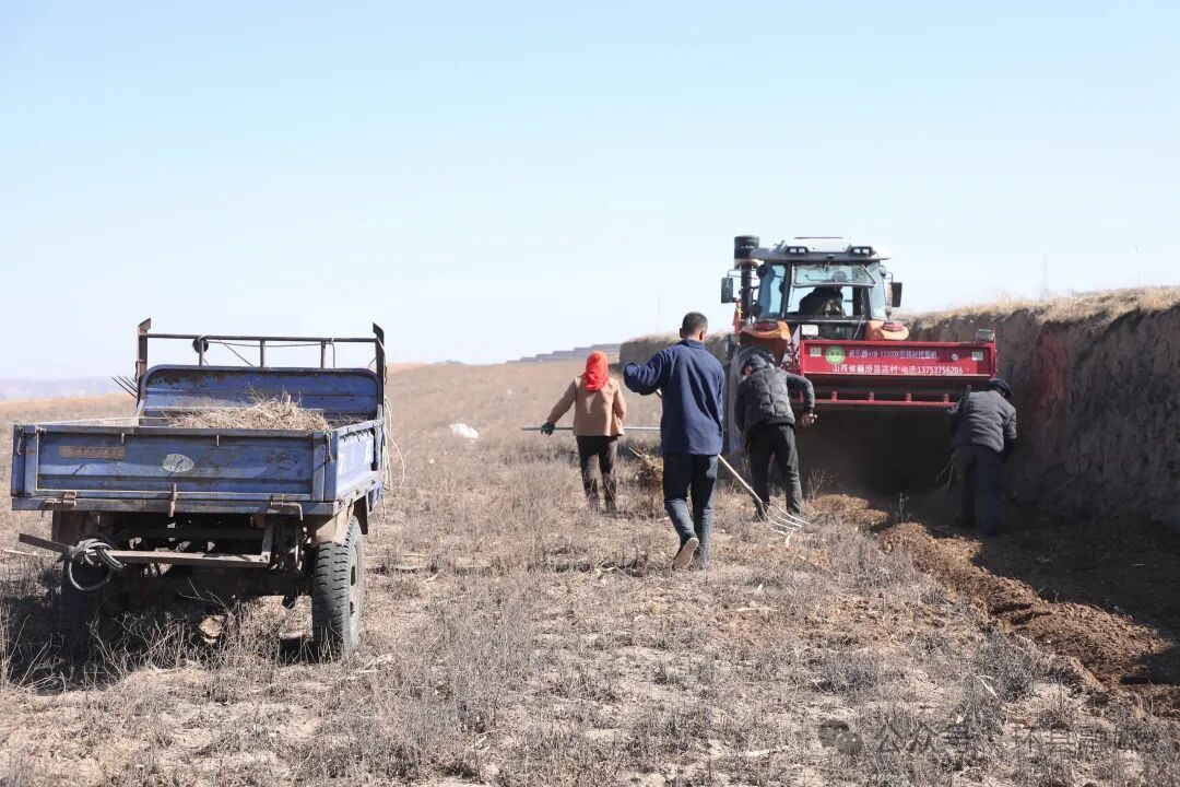 環(huán)縣小南溝鄉(xiāng)：實干爭春早 繪就好“豐”景