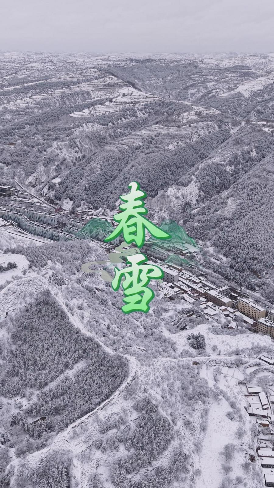 白雪卻嫌春色晚，故穿庭樹作飛花——三月春雪