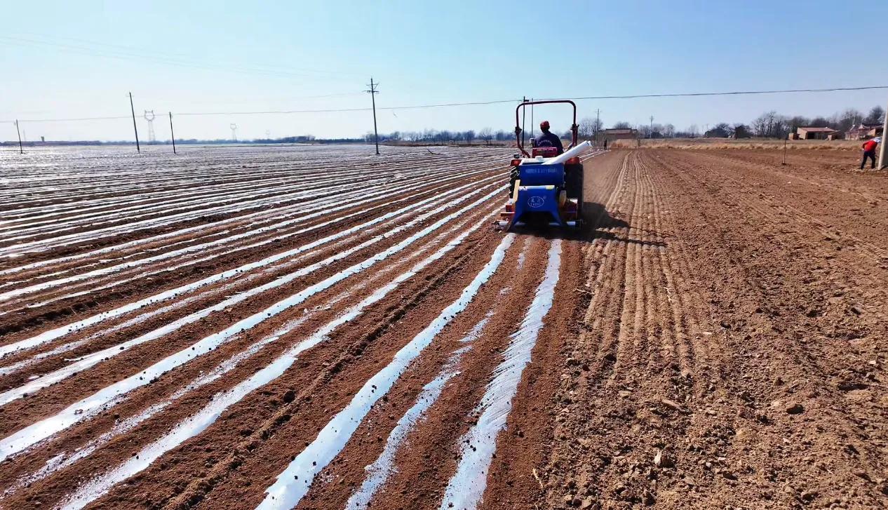 【春啟隴東 耕繪新篇】寧縣中村鎮(zhèn)：搶抓墑情促春耕 頂凌覆膜保豐收