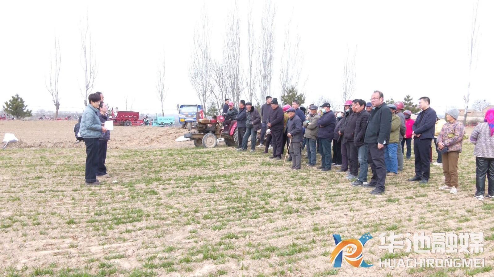 華池縣精細(xì)化田管助力晚播冬小麥“強(qiáng)筋健骨”