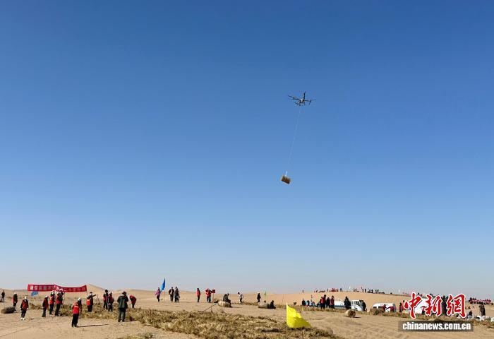 河西走廊植綠新場景：人機協(xié)作忙 公益治沙熱