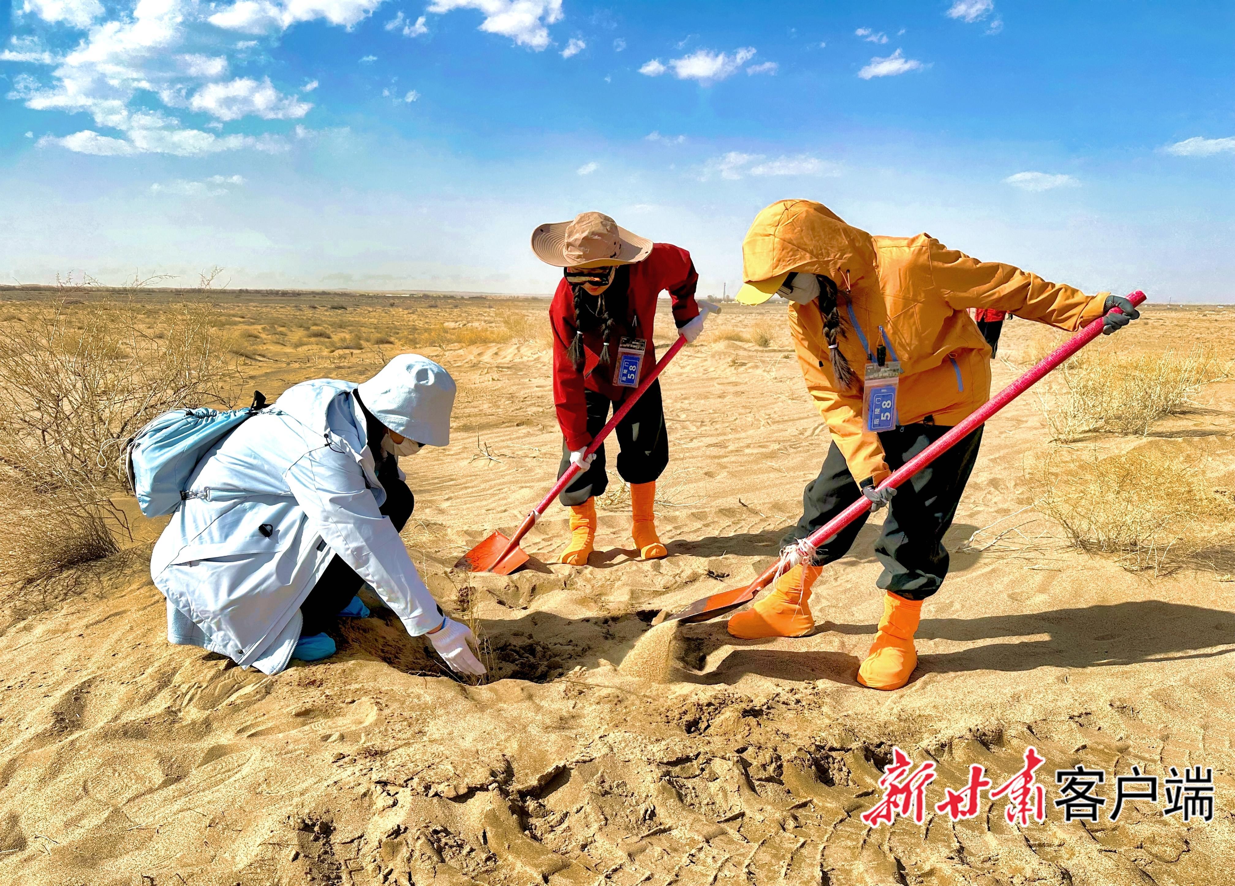 跨越山海的綠色接力——全國(guó)各地志愿者踴躍參與2026年“請(qǐng)到民勤種棵樹”活動(dòng)