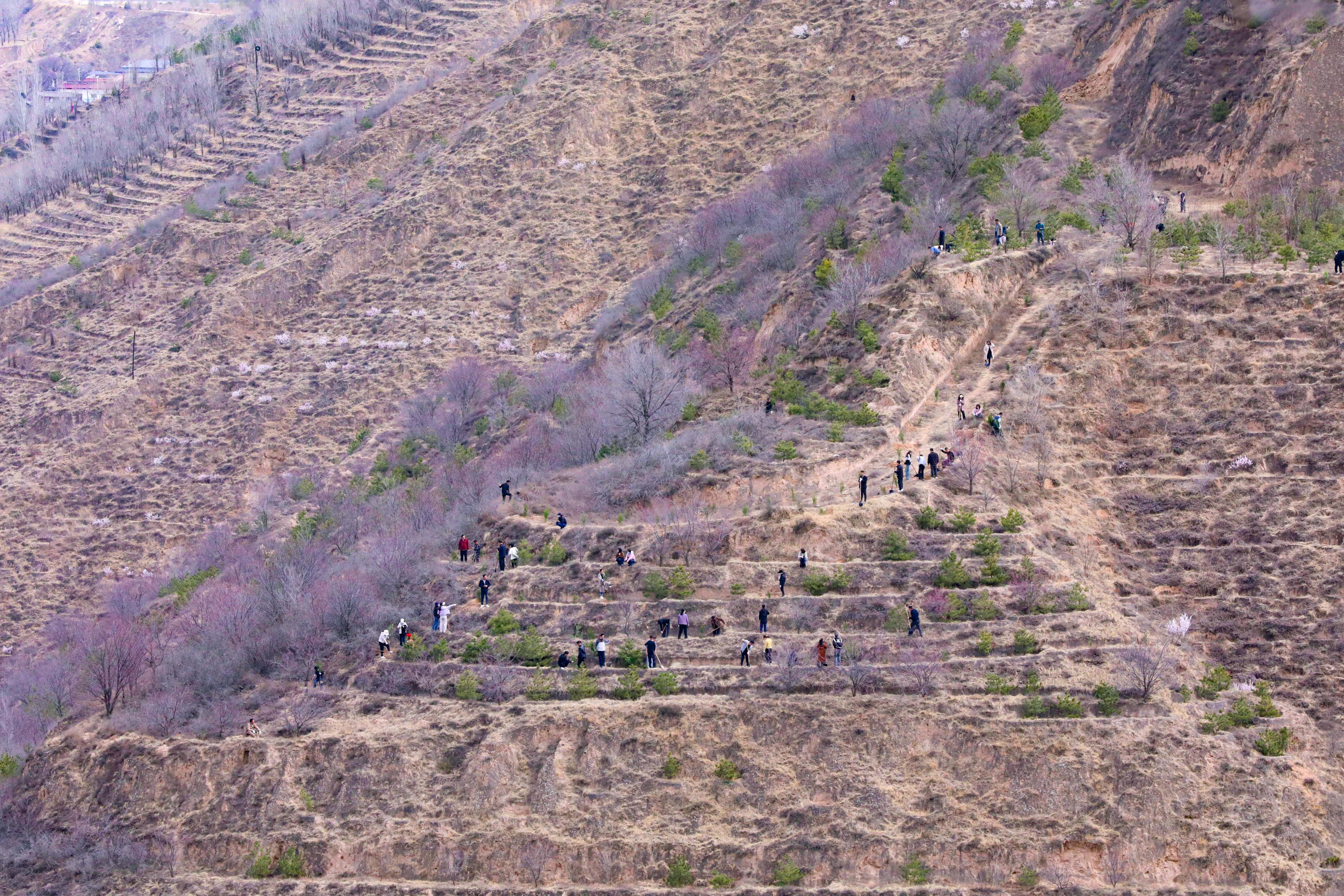 春風(fēng)添新綠 植樹正當(dāng)時(shí)——環(huán)縣開展2026年春季義務(wù)植樹活動(dòng)