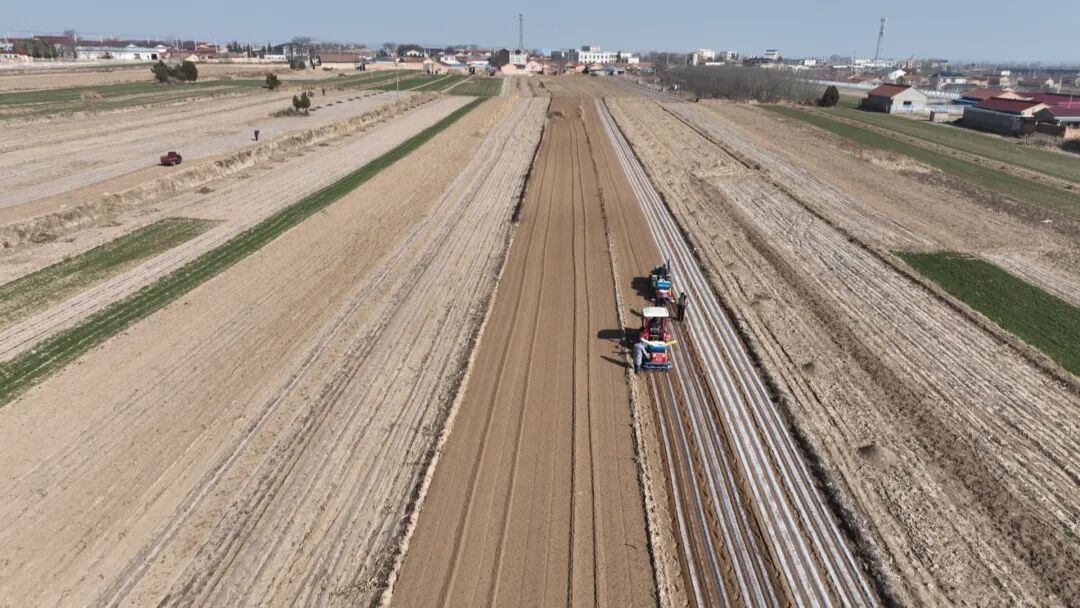 鎮(zhèn)原縣廟渠鎮(zhèn)：春季農事全面鋪開 穩(wěn)糧增收美環(huán)境