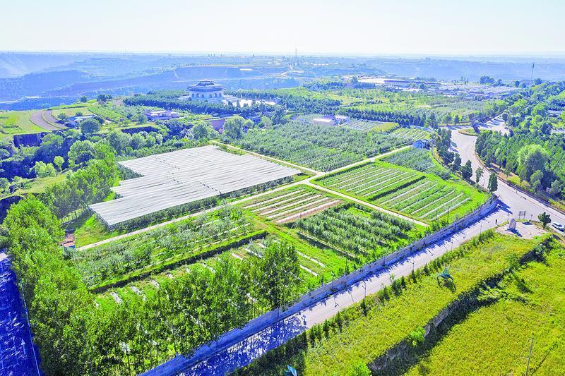 《隴東報》特刊·縣區(qū)觀察 | 慶城：項目建設搶春早 鄉(xiāng)村振興啟新程