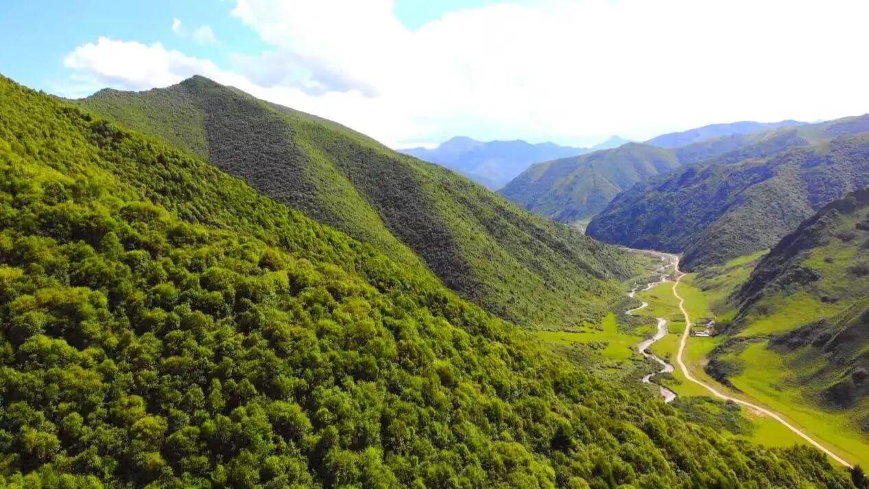 甘肅岷縣：青山為屏守家園 洮水含情潤民心