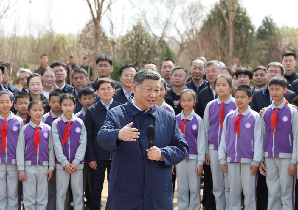 時政微觀察丨草木植成，國之富也