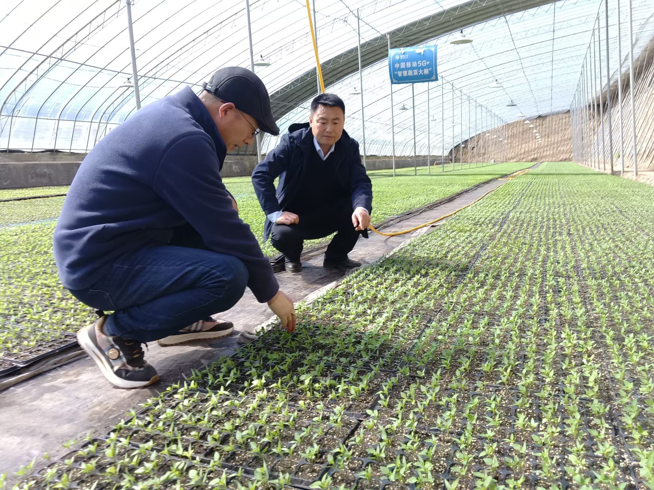 正寧縣  不負(fù)農(nóng)時不負(fù)春  沃野千里氣象新