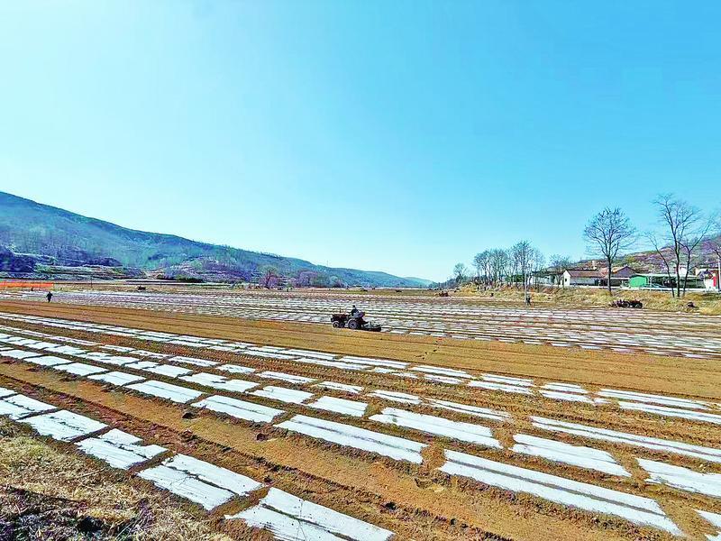 《隴東報(bào)》特刊·縣區(qū)觀察 | 正寧：重點(diǎn)項(xiàng)目建設(shè)成績(jī)亮眼 書(shū)寫(xiě)鄉(xiāng)村振興的新篇章