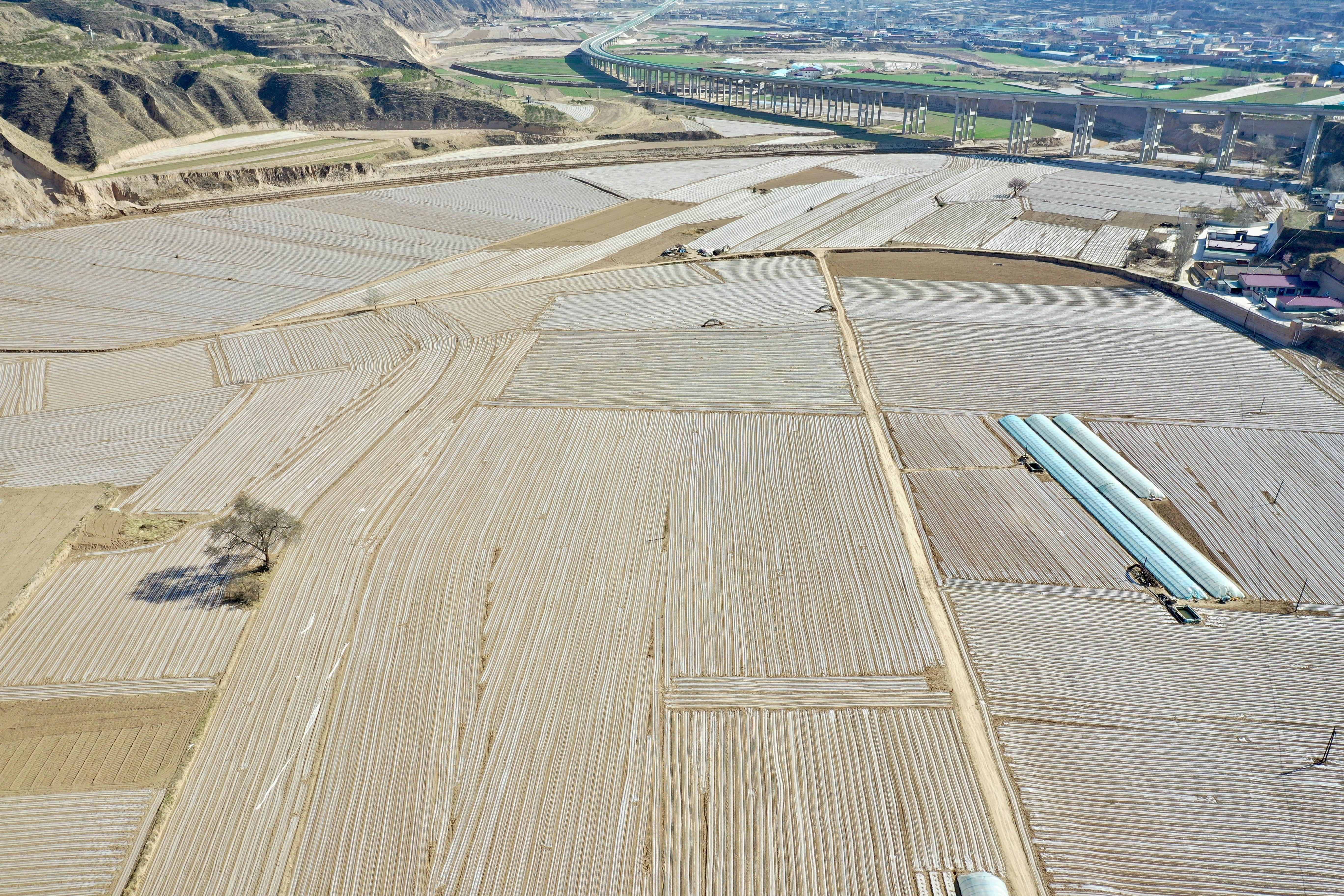 環(huán)縣洪德鎮(zhèn)：全鏈循環(huán)促振興 產(chǎn)業(yè)融合繪新景