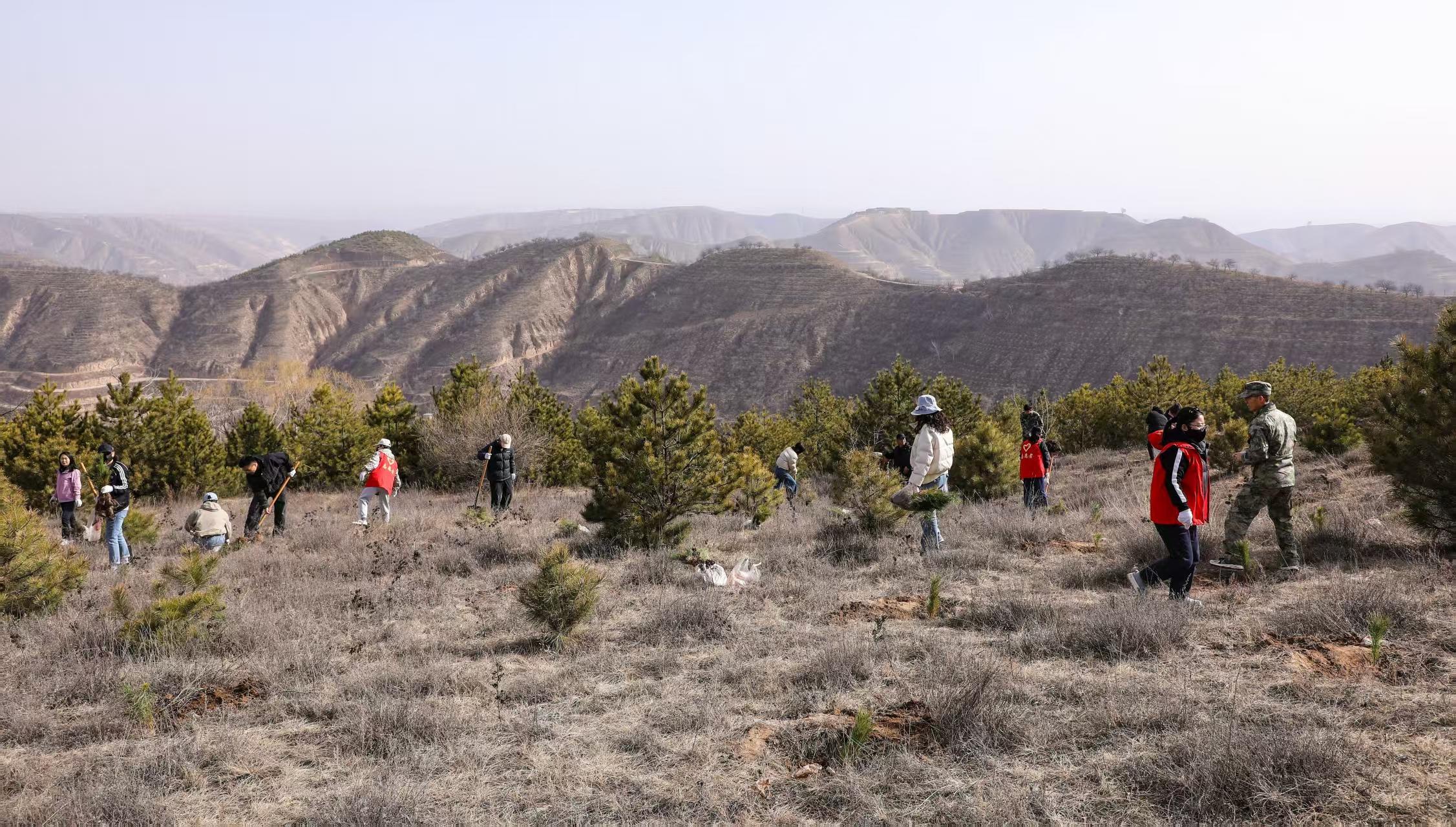 環(huán)縣：搶春造林忙 護(hù)綠生態(tài)興