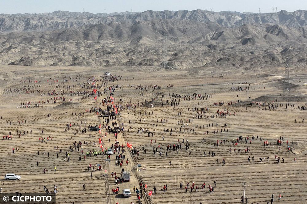植樹(shù)治沙，為祖國(guó)添新綠