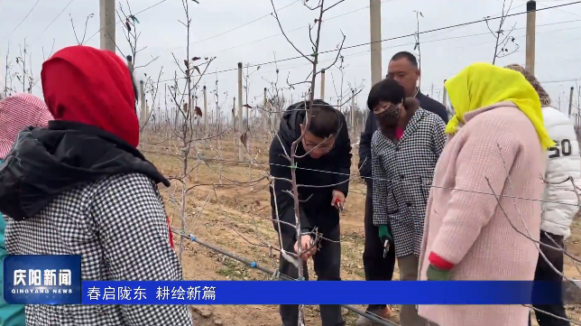 《慶陽(yáng)新聞》2026年4月4日