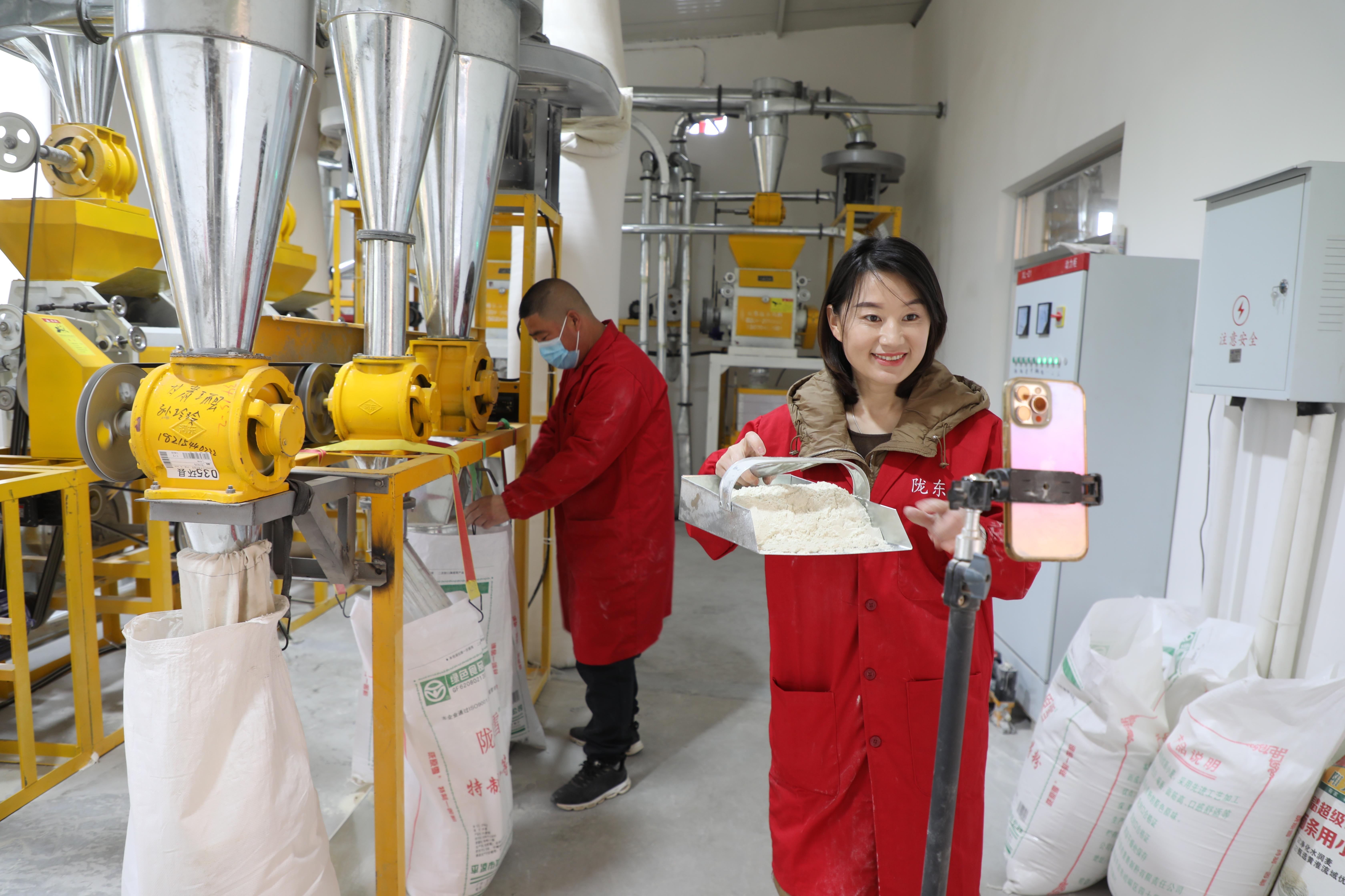 環(huán)縣 “紅色引擎”激活“云上”活力