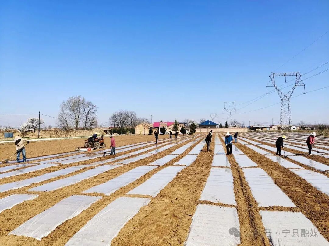 瓦斜鄉(xiāng)：春耕春管忙 沃野繪“豐”景
