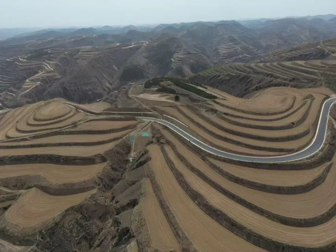 華池縣白馬鄉(xiāng)打好產(chǎn)業(yè)“組合拳”繪就振興新畫卷