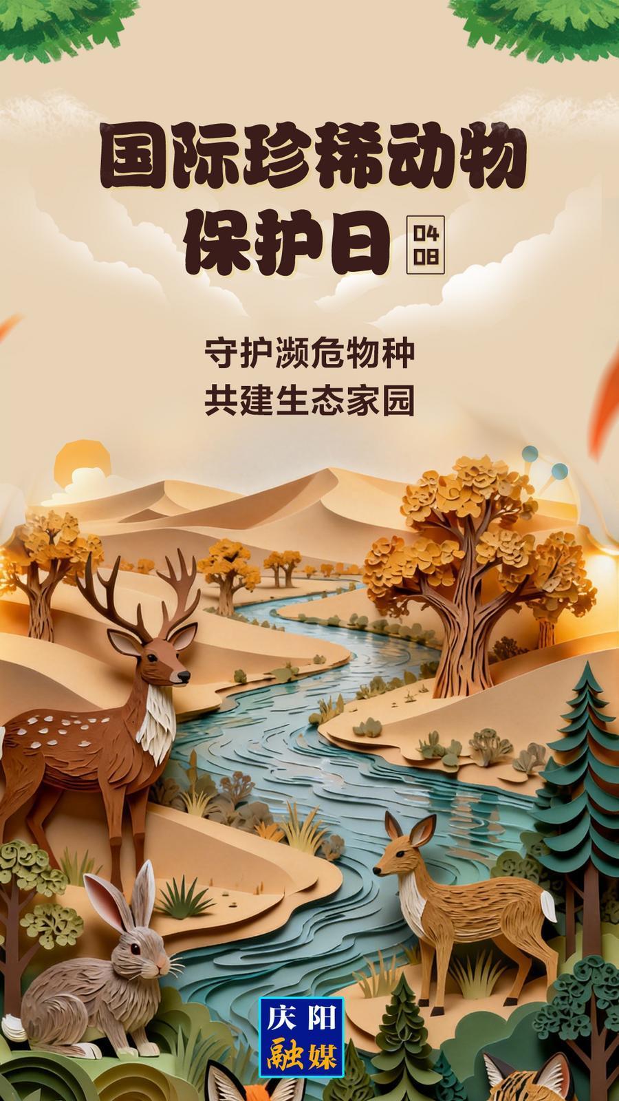 【微海報(bào)】國(guó)際珍稀動(dòng)物保護(hù)日丨守護(hù)瀕危物種 共建生態(tài)家園