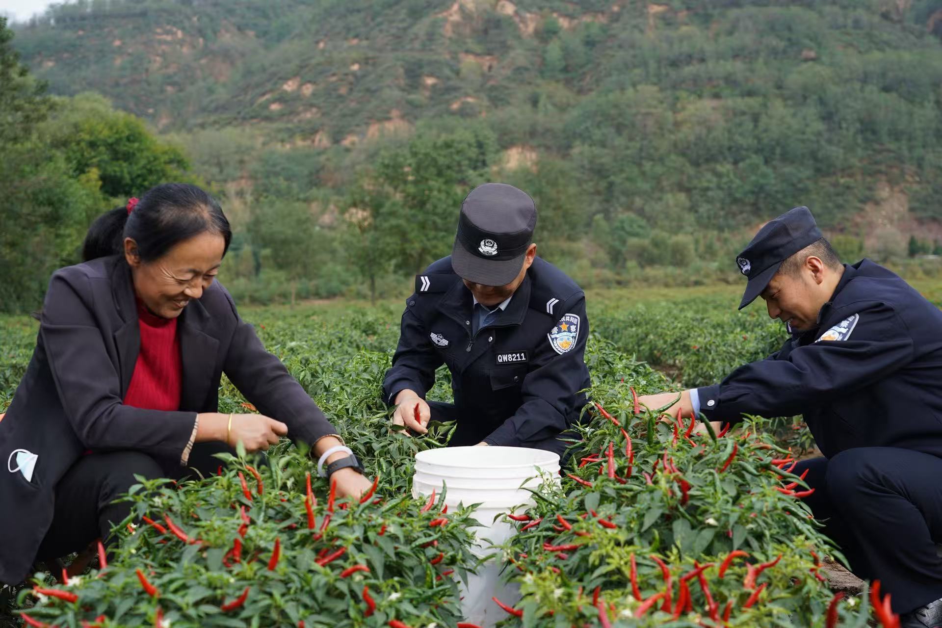 織密治理“一張網(wǎng)”  激活共治“一池水”——寧縣以“三聚焦”推動(dòng)基層治理提質(zhì)增效