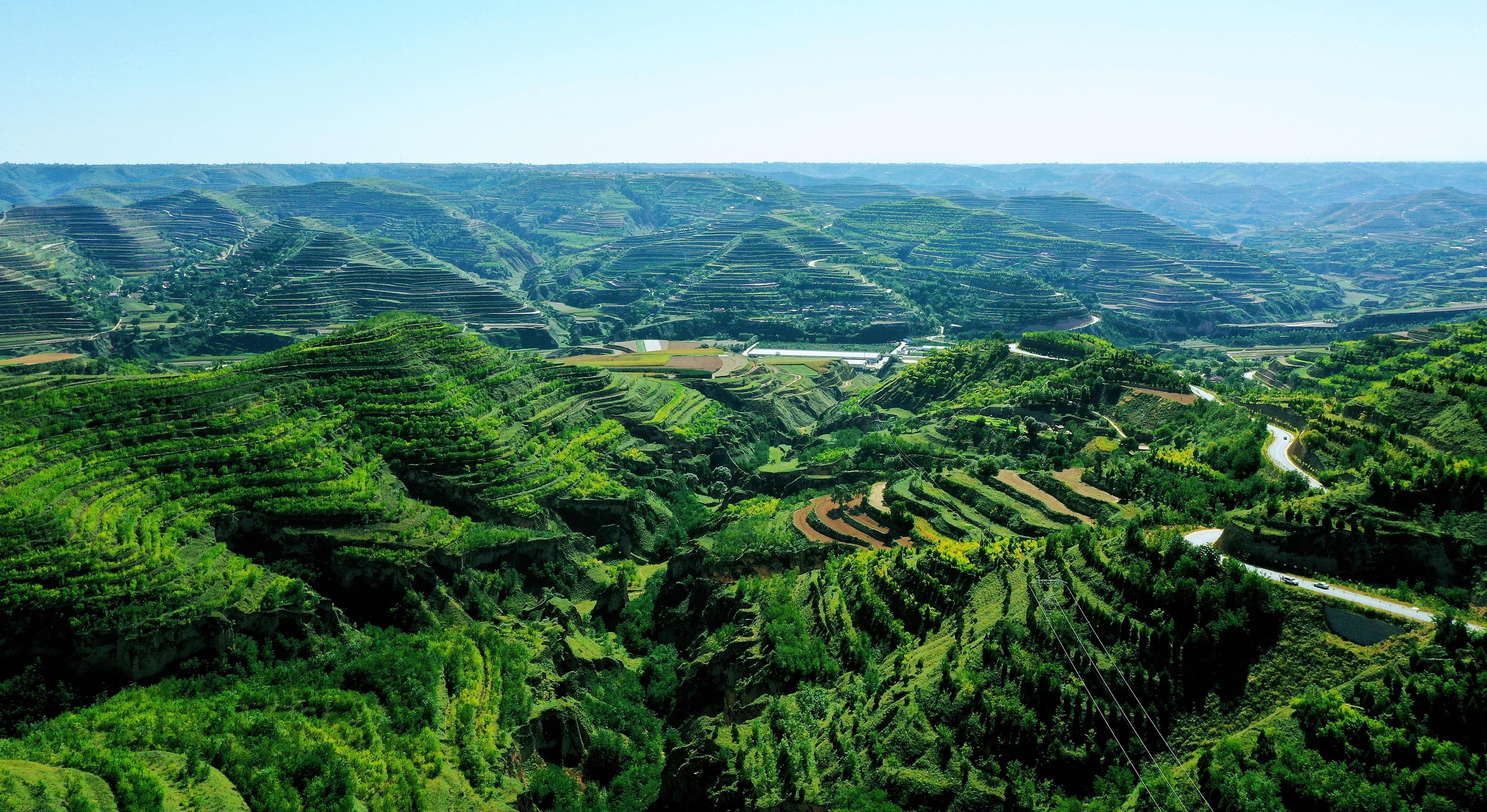 鎮(zhèn)原縣  推動國土綠化繪就生態(tài)建設(shè)底色