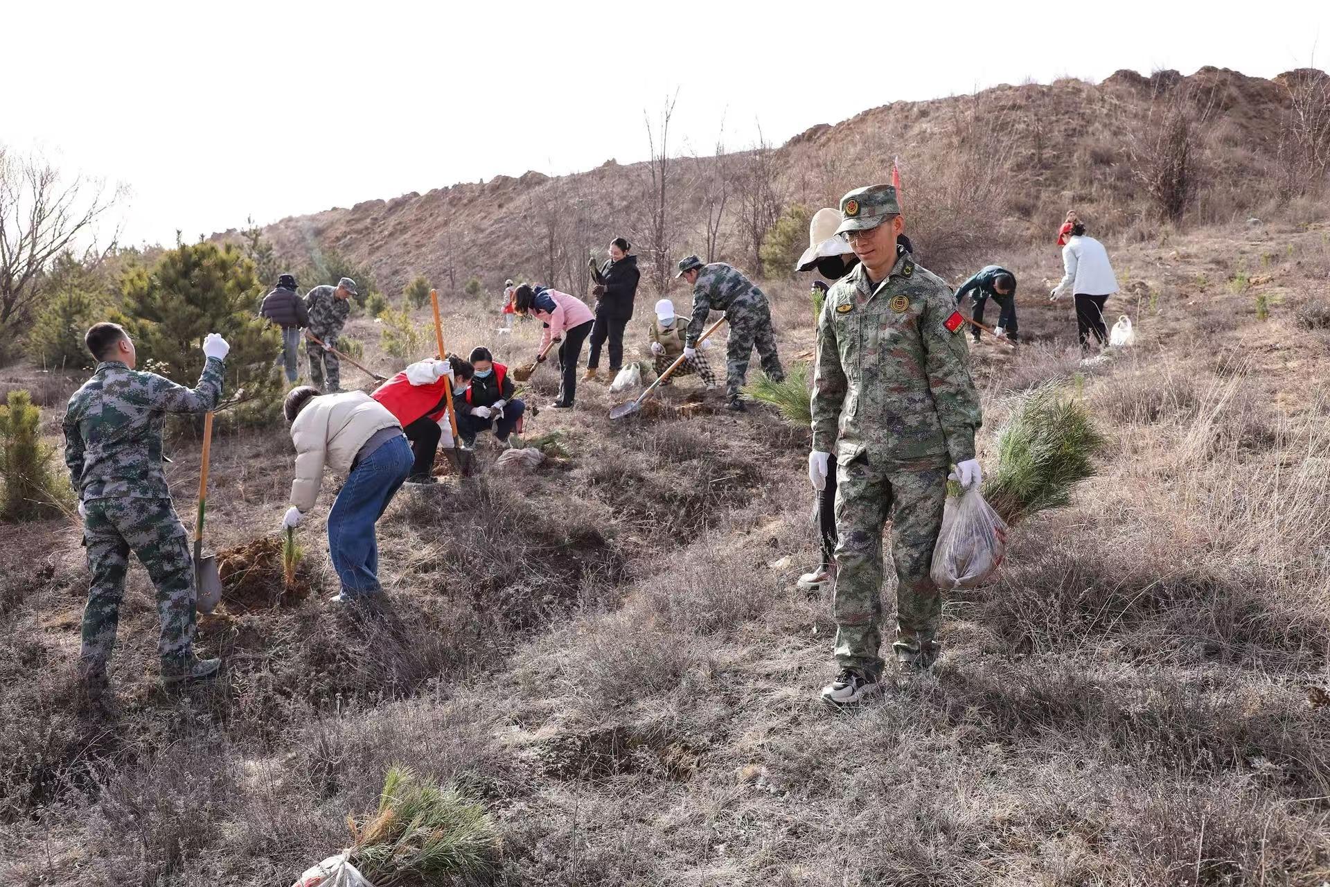 環(huán)縣  搶春造林忙  護(hù)綠生態(tài)興
