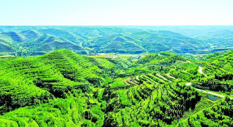 《隴東報》特刊·生態(tài)慶陽 | 繪生態(tài)底色 筑幸福家園——慶陽市多縣聯(lián)動推進生態(tài)文明建設(shè)