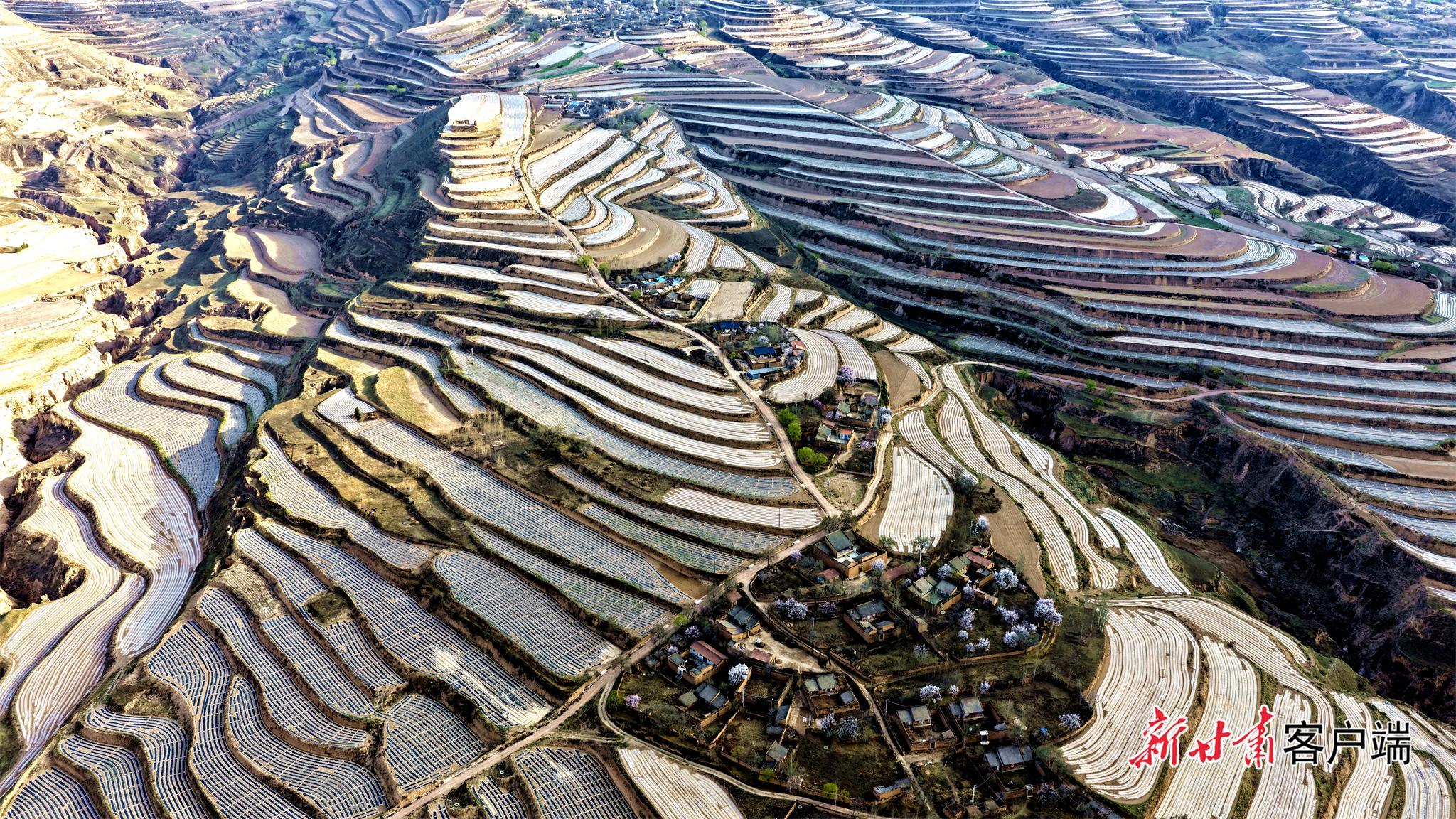 守牢耕地紅線 筑牢振興根基——定西市全方位構(gòu)建耕地保護(hù)新格局