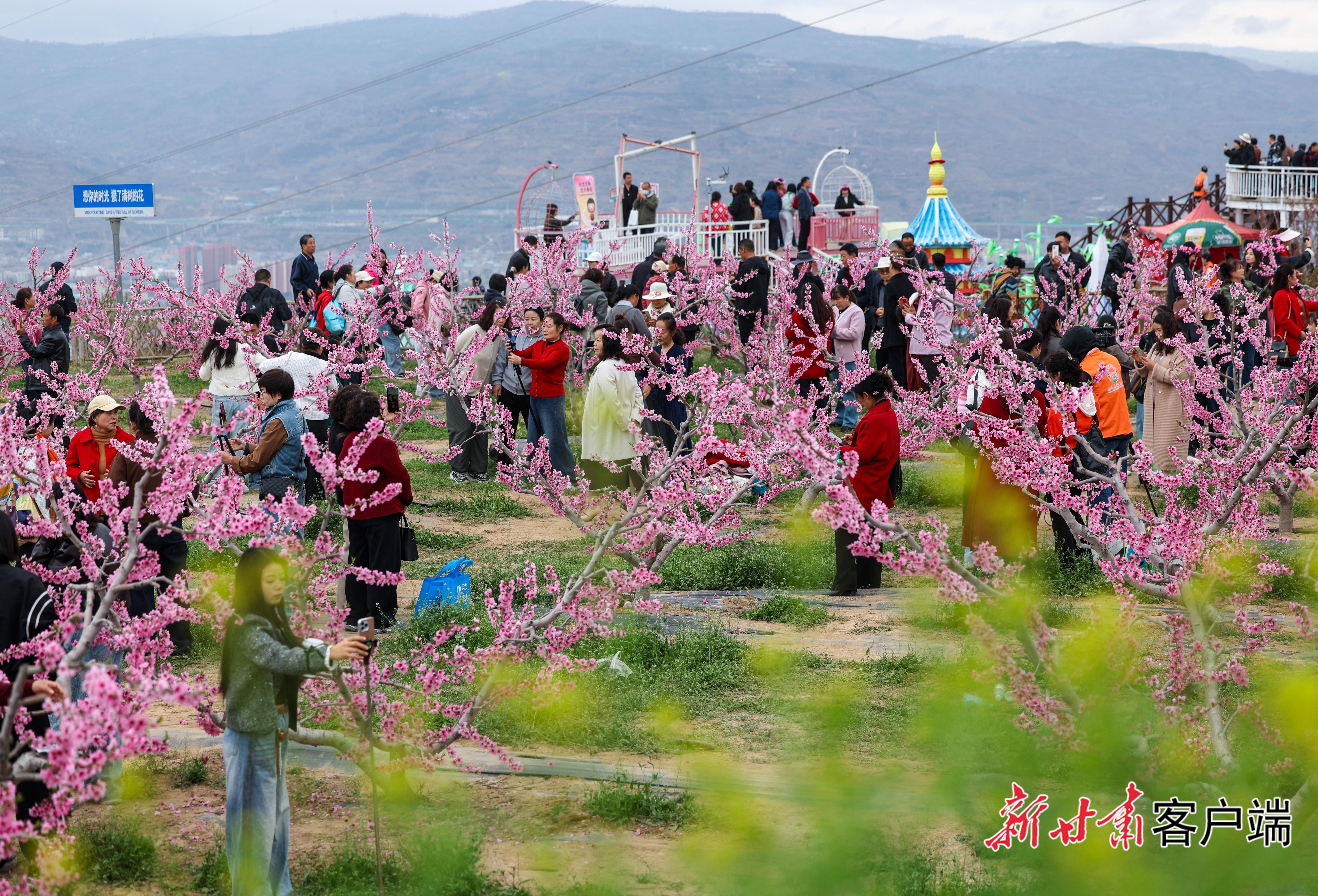 桃花灼灼迎客來(lái) 2026年天水秦安桃花會(huì)開園