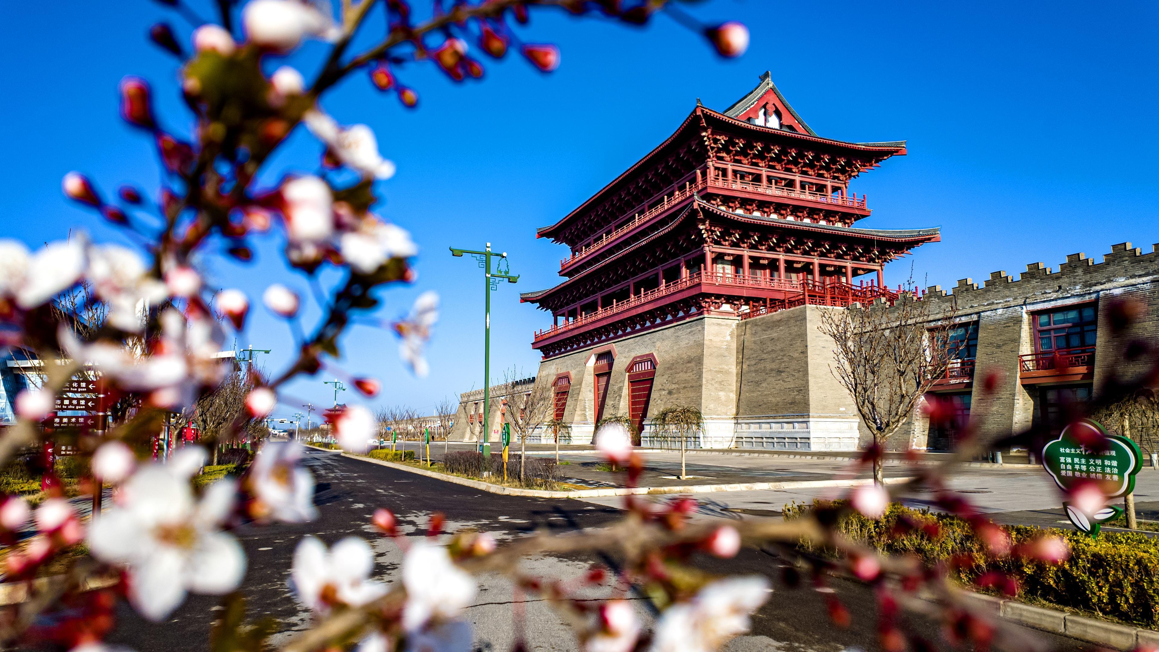 【視覺(jué)慶陽(yáng)】春染大塬  滿眼詩(shī)畫