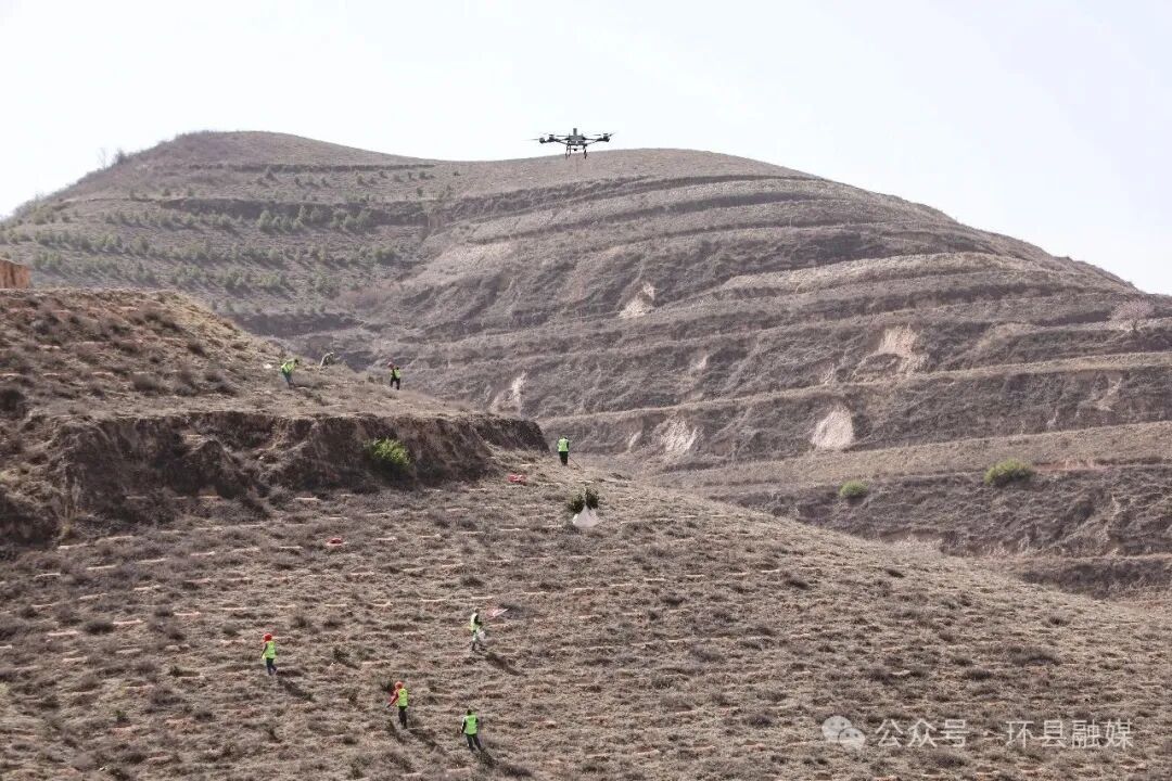 科技種綠 從嚴護綠  環(huán)縣繪就“綠進沙退”新畫卷