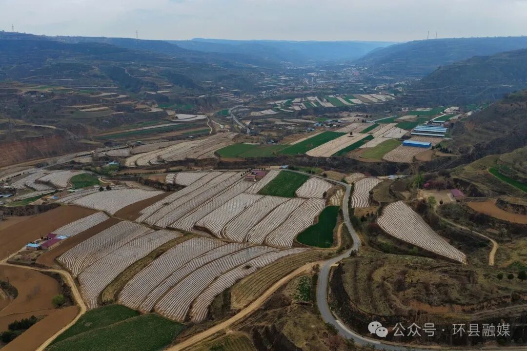 環(huán)縣合道鎮(zhèn)：春耕多點發(fā)力 筑牢豐收根基