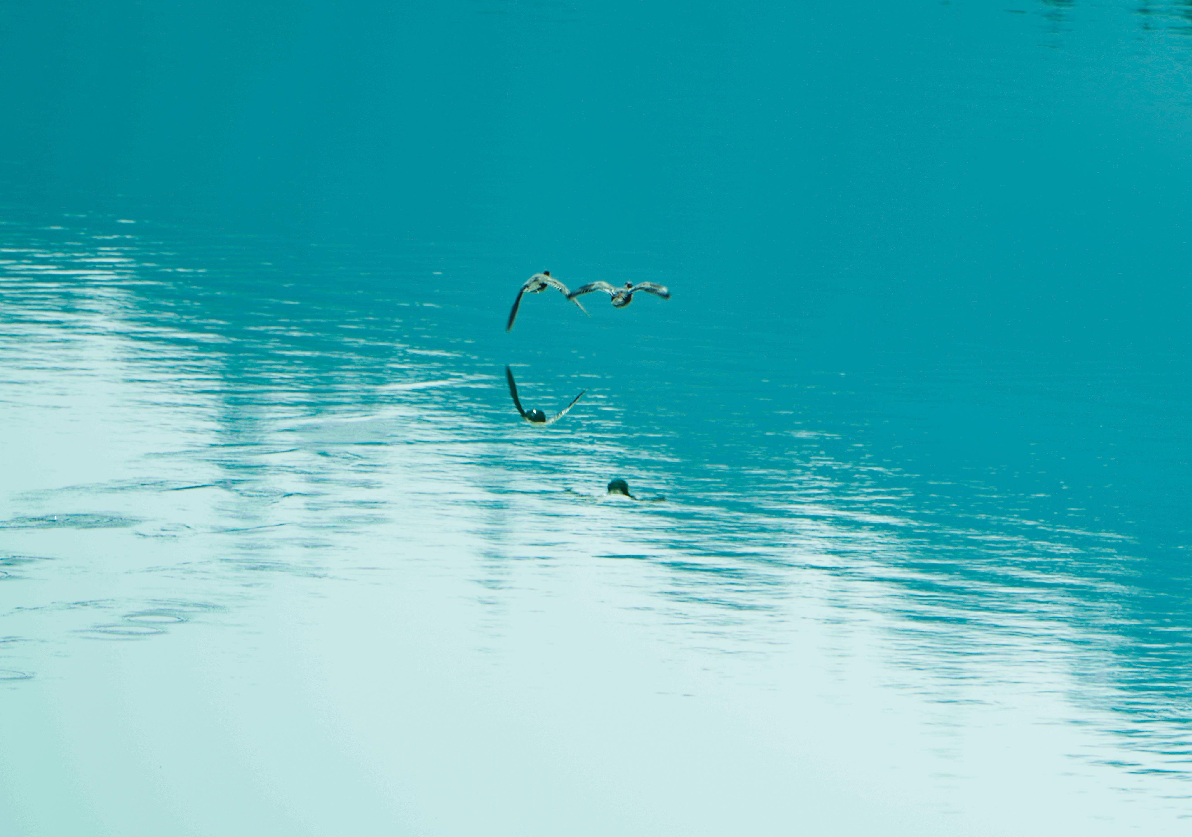 【攝影報(bào)道】環(huán)縣喬兒溝水庫：一汪碧水映春光