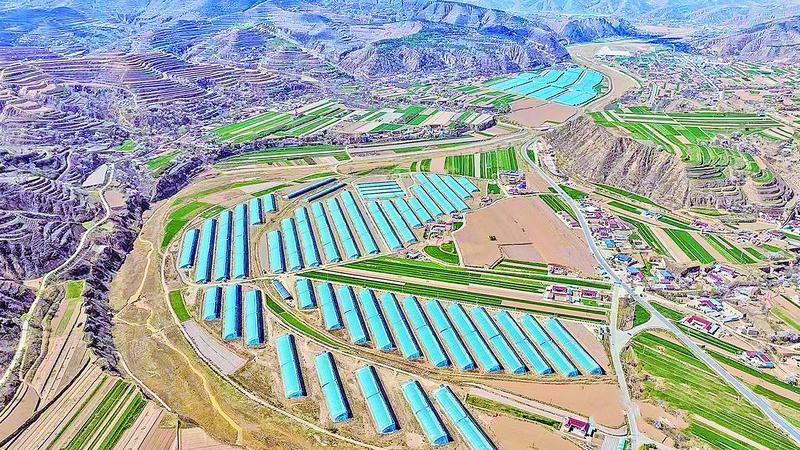 《隴東報》特刊·鄉(xiāng)村振興︱慶陽：立足資源優(yōu)勢發(fā)展特色產(chǎn)業(yè)