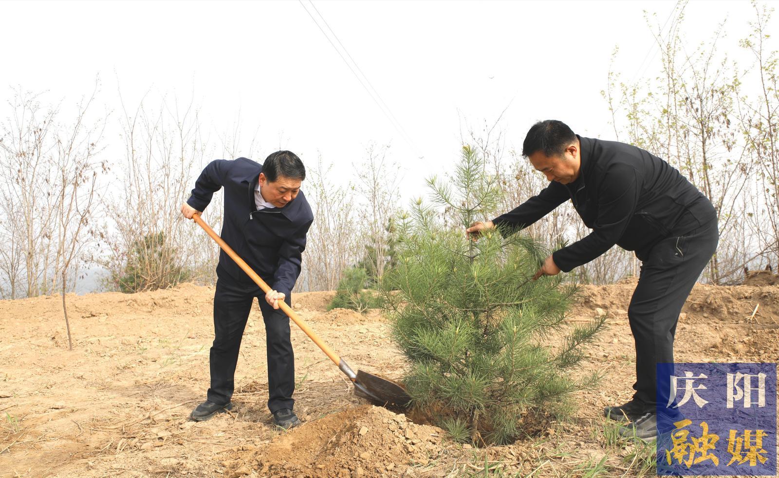 慶陽市2026年市級機關(guān)義務(wù)植樹活動在西峰區(qū)舉行