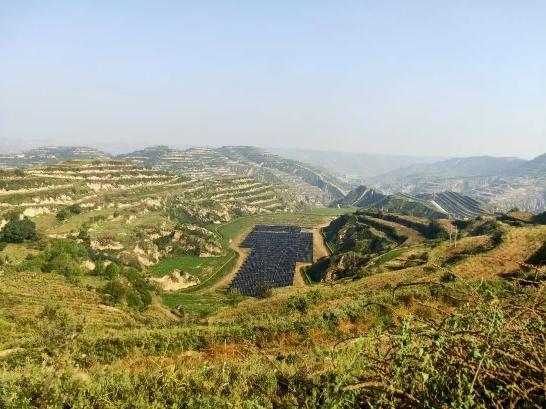 金蕊漫塬興藥業(yè) 岐黃故里促振興——慶城縣以連翹產(chǎn)業(yè)賦能中藥材高質(zhì)量發(fā)展紀(jì)實(shí)