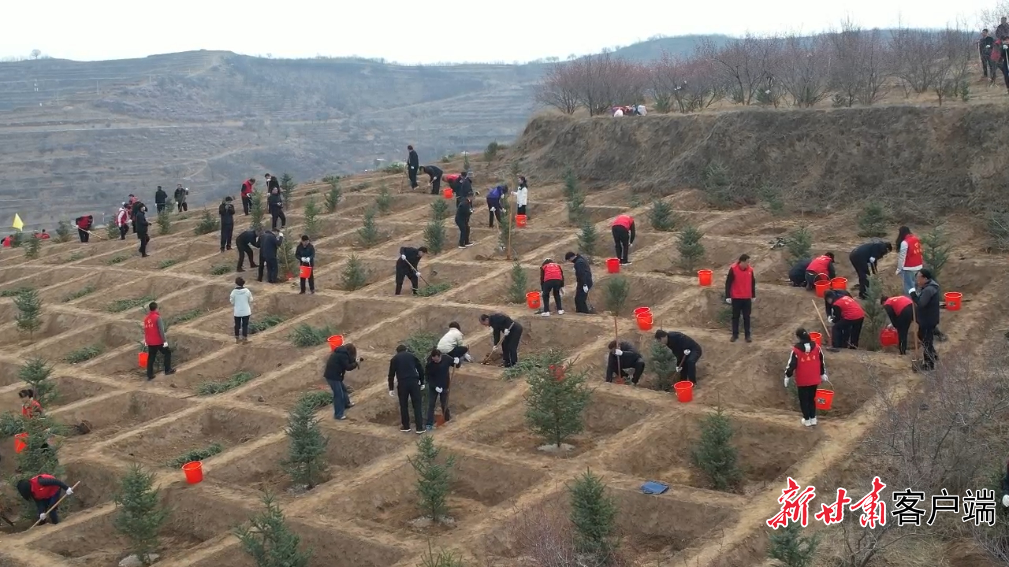 【甘快看?深讀·生態(tài)】從“黃”到“綠”的底色之變——555萬畝林海背后藏著怎樣的“平?jīng)雒艽a”