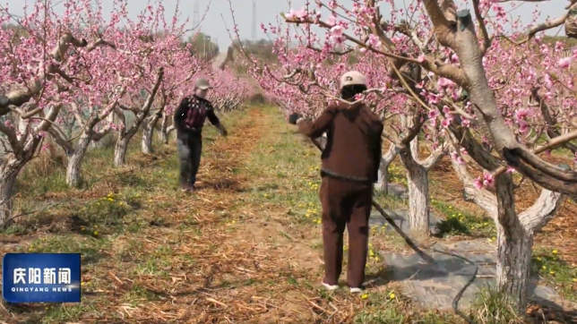《慶陽新聞》2026年4月16日