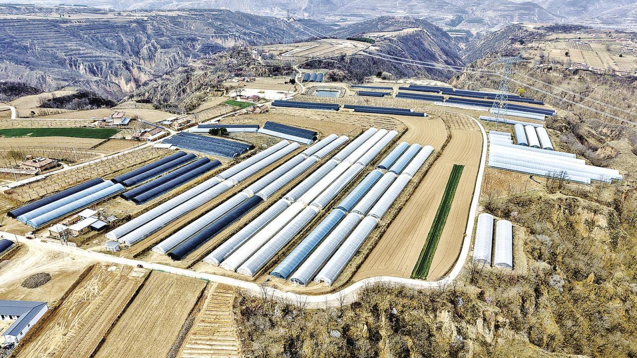 《隴東報》特刊·縣區(qū)觀察 | 合水：沃野鋪錦勤耕耘 產(chǎn)業(yè)興旺繪新景