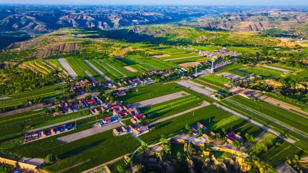 顏值與價(jià)值齊升 生態(tài)與民生共美——鎮(zhèn)原縣深入推進(jìn)人居環(huán)境工作筑牢鄉(xiāng)村振興根基